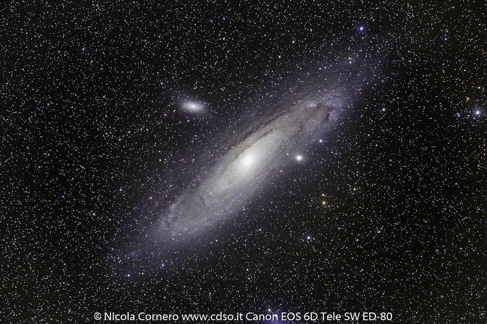 M31